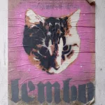 Lembo gothic w cat ph TXMX
