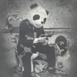 Miss Fuck FR Panda