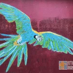 Mosko Paris Canal St Martin parrot flying