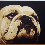 UK_Penny_bulldog