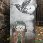 RiP UK hummingbird photo duncan c