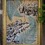 Yuxel frog and fly