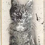C215Staring