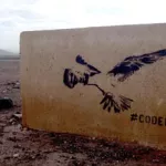 codefc Fuerteventura cineBird