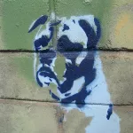 UK Bristol fiction12