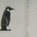 spank_FR Penguin