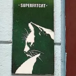 superfatcat Hamburg DE cat on tile