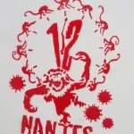 FR Nantes 12 Monkeys spoof photo Everything4Everyone 