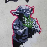 FR Paris paste Yoda