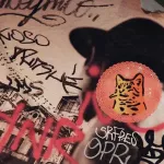 DE Berlin cat wheatpaste photo jaime rojo for BSA