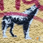 DE Berlin howling wolf