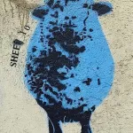 DE Berlin sheep