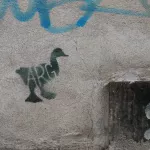 DE Dresden ARG duck ph J Rojo for BSA