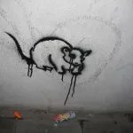 DE Berlin rodent