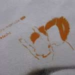 DE Berlin punks