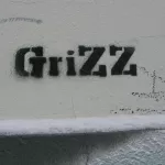 DE Berlin GriZZ