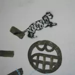 DE Berlin tiger