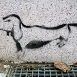 DE Berlin dog