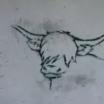 DE Berlin Bull