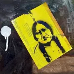 DE Hamburg geronimo sticker