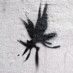 DE Hamburg insect