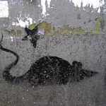 DE Hamburg mouse with star
