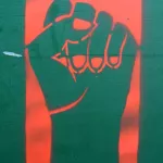 DE Hamburg orange power fist