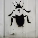 DE Hamburg roach 03