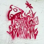 DE Hamburg mushrooms