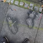 DE Hamburg shooting rabbit