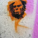 DE Hamburg ape