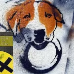 DE Hamburg dog with ring color