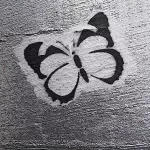 DE Hamburg butterfly