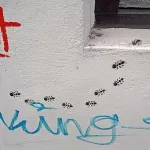 DE Hamburg simple ants