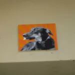 DE Hamburg dog