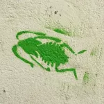 DE Hamburg insect 02
