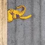 DE Hamburg parasit elephant