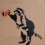 DE Hamburg raccoon spray painting