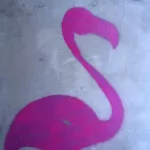 HU Budapest flamengo
