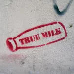 IT Salerno true milk