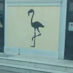 IT Udine Flamingo