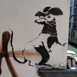 IT Venice rat