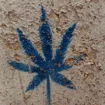 IT Milan Hemp