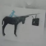 IT Florence mule