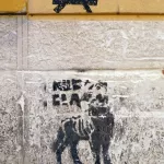 IT Palermo dog