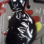 IT Naples bag