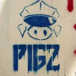 IT Naples PIGZ