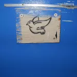 NL Amsterdam dove