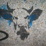 NL cow
