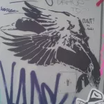 NL Amsterdam duck